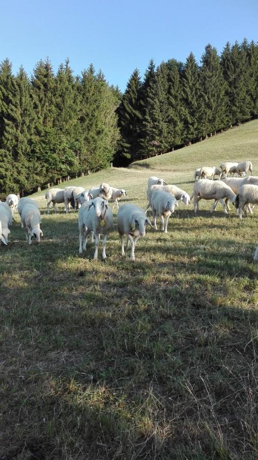 Ferienwohnung Lucy Am Lonitzberg Steinakirchen Am Forst Екстериор снимка
